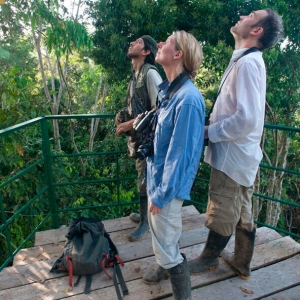 Birdwatching-2-2