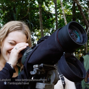 Birdwatching-3-1