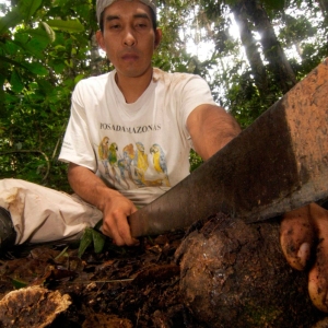 Brazil-Nut-Trail-2