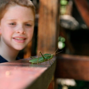 Childrens-Trail-1