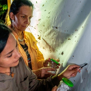 Discovering-a-New-Species