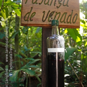 Medicinal-Plants-Trail-2