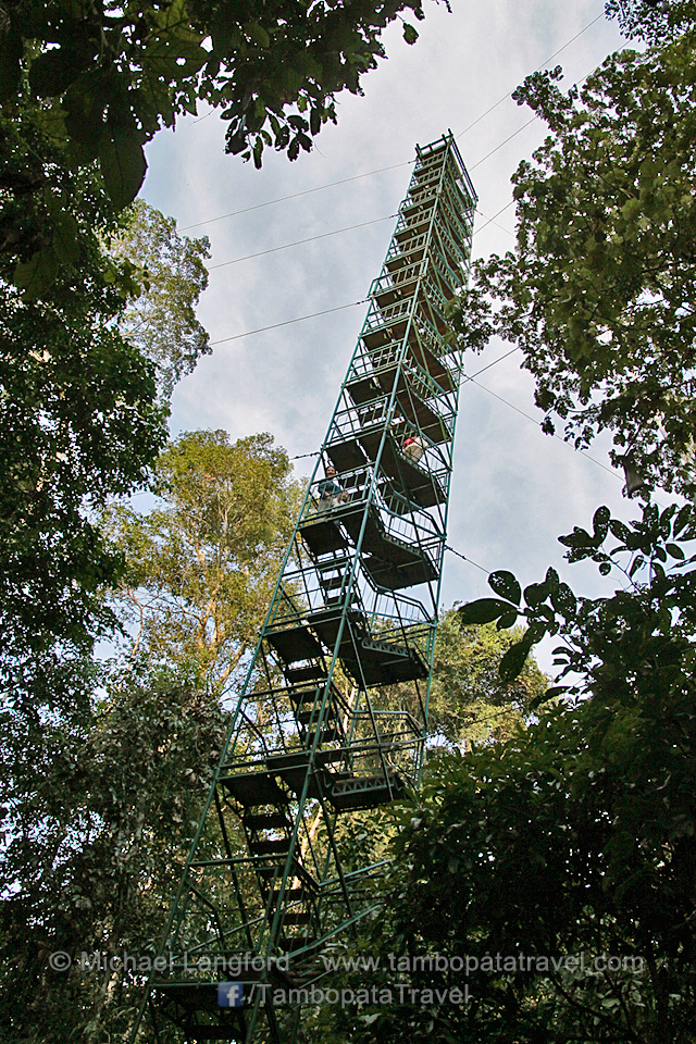 Canopy-Tower-1