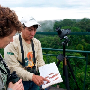 Birding