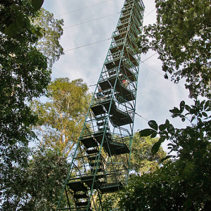 Canopy-Tower-1