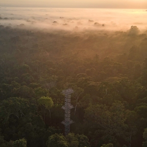 Canopy-Tower-Aerial