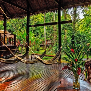 Hammock-Area-1