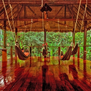 Hammock-Area-2
