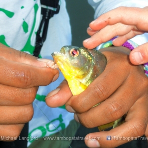 Piranha-Fishing-catch-release-2