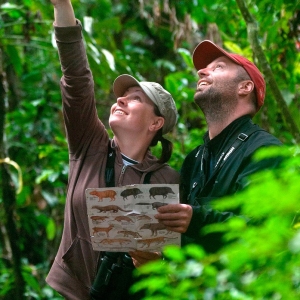 Rainforest-Trail-2-1