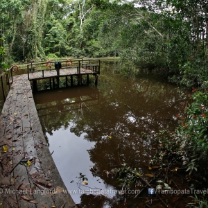 Island-Exploration-Pond-1