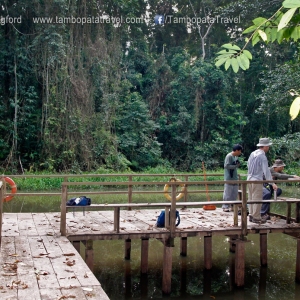 Island-Exploration-Pond-2