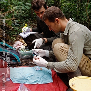 Macaw-Research-1