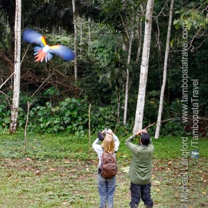 Secrets-of-the-Surroundings-2