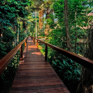TRC-Raised-Walkway-1