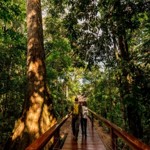 TRC-Raised-Walkway-2