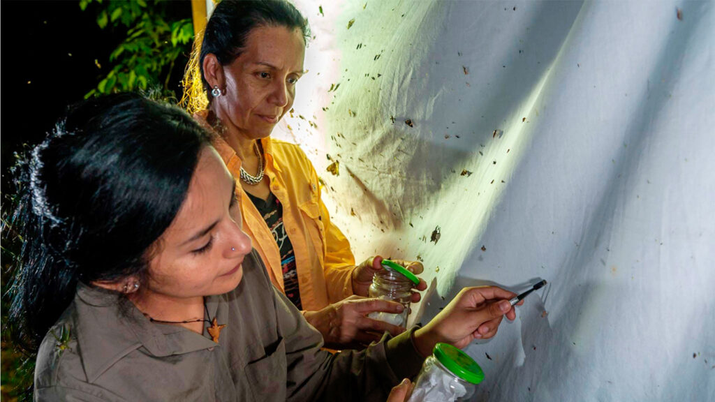 Discovering a New Species