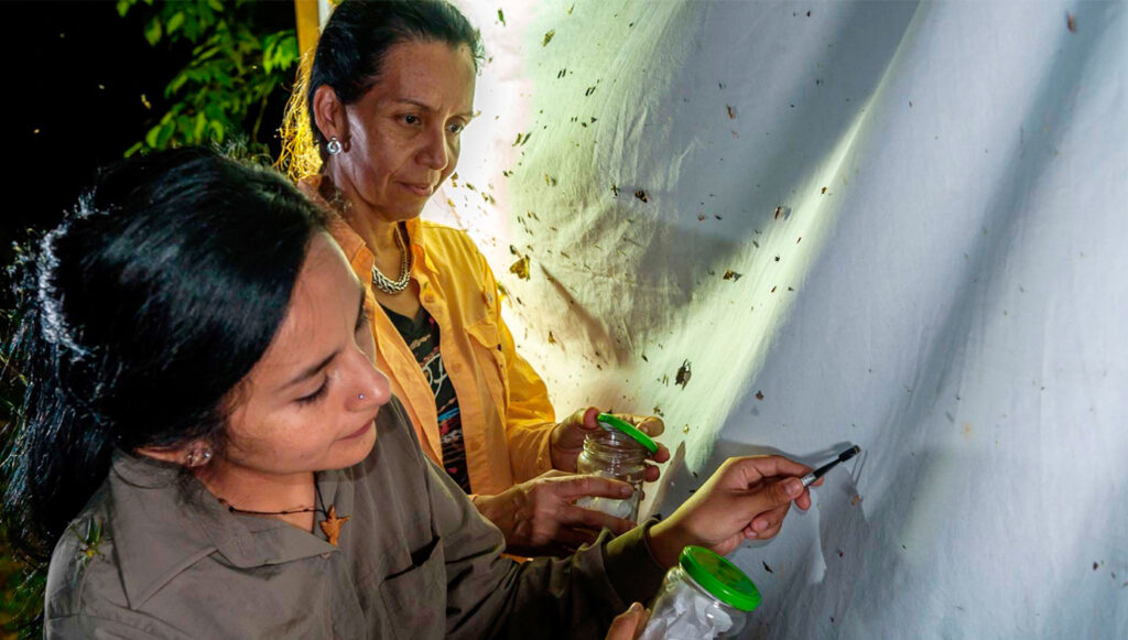 Discovering a New Species