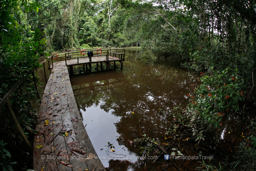 Island Exploration & Pond 1