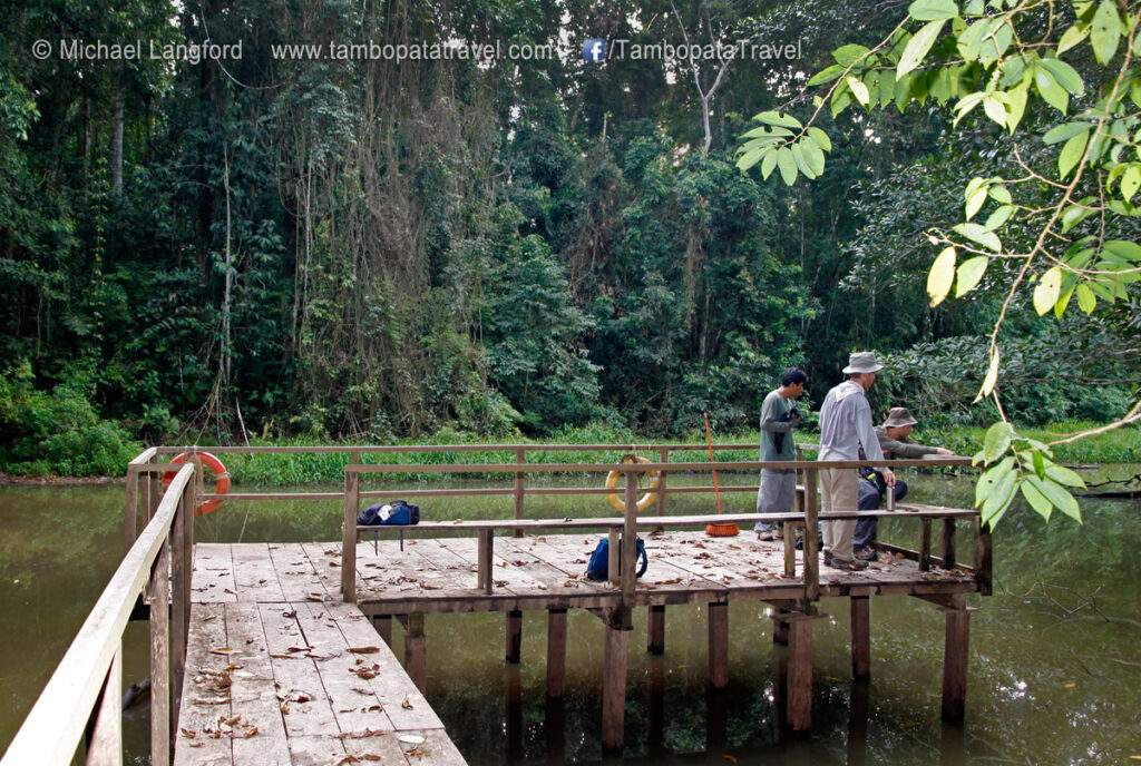 Island Exploration & Pond 2