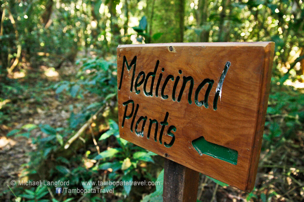 Medicinal Plants Trail 3