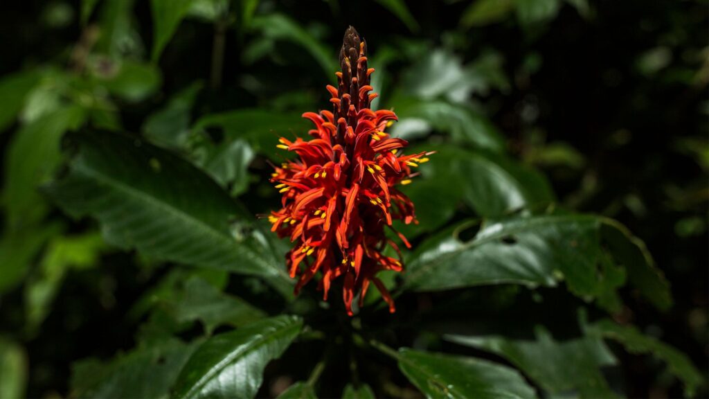 Secrets of the Surroundings 2